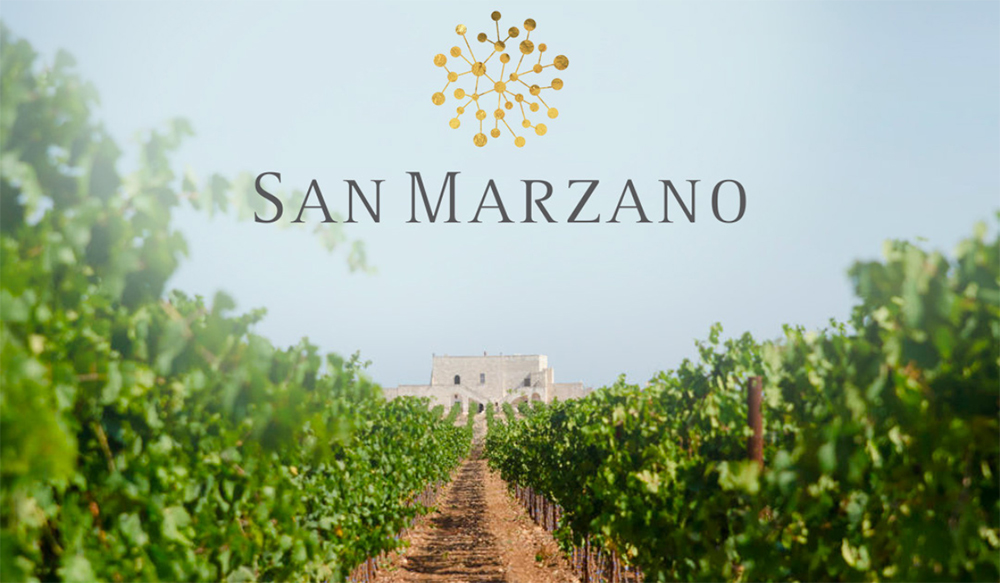 Rượu Vang 50 Anniversario - San Marzano