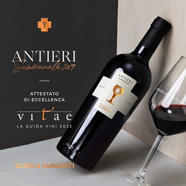 Rượu Vang Antieri - Schola Sarmenti