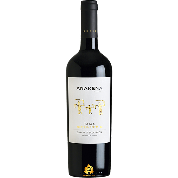 Rượu Vang Anakena Tama Vineyard Selection Cabernet Sauvignon