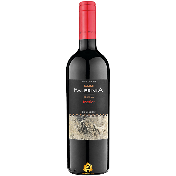Rượu Vang Falernia Merlot Reserva