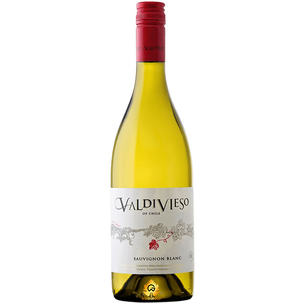 Rượu Vang Valdivieso Sauvignon Blanc