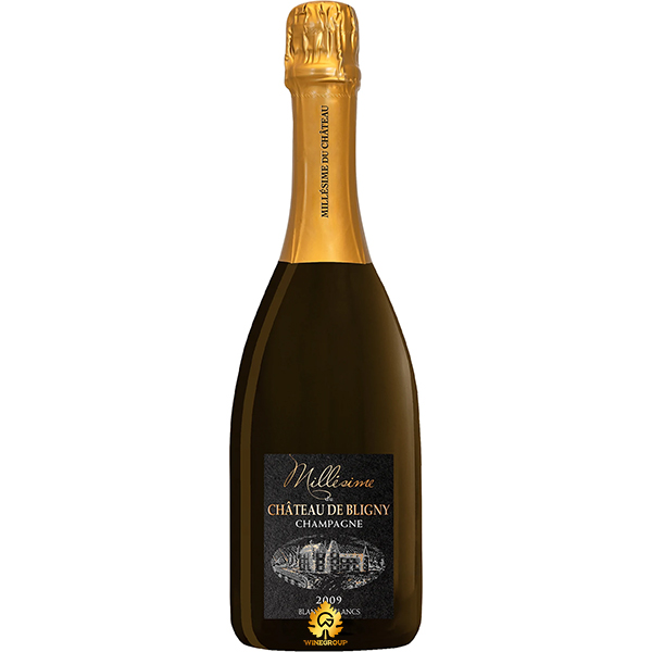 Rượu Champagne Château De Bligny Brut Millesimé