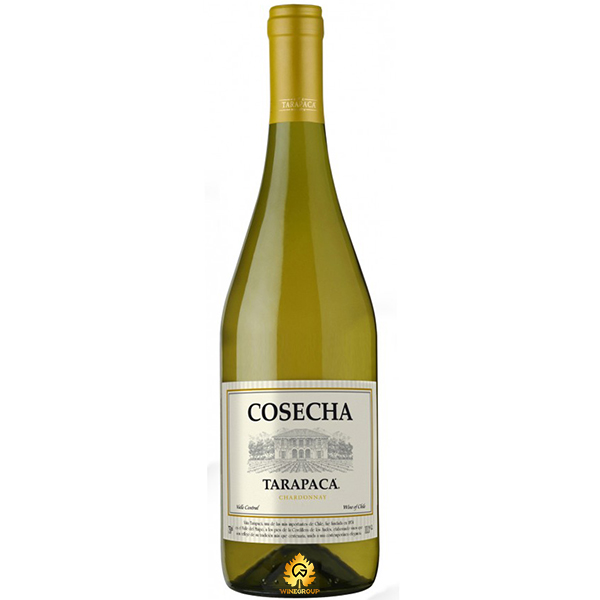 Rượu Vang Tarapaca Cosecha Chardonnay