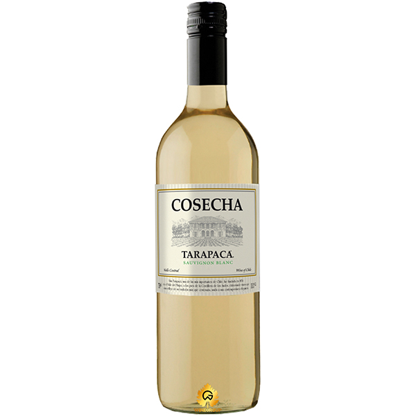 Rượu Vang Tarapaca Cosecha Sauvignon Blanc