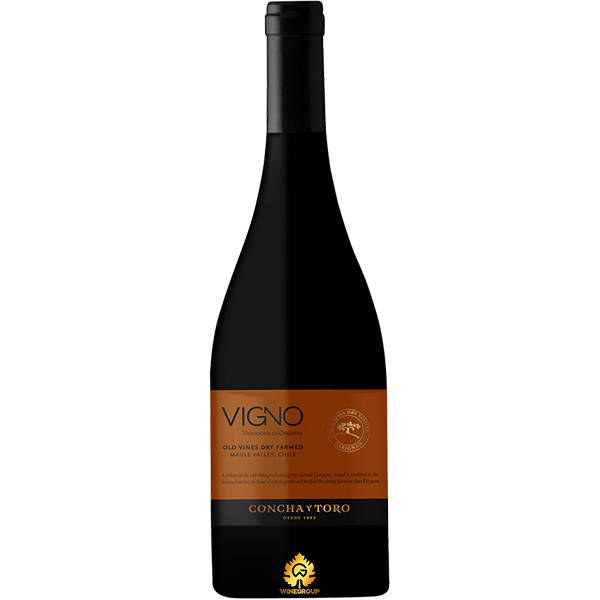 Rượu Vang Concha Y Toro Vigno