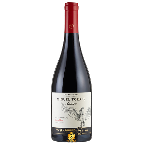 Rượu Vang Miguel Torres Andica Gran Reserva Pinot Noir