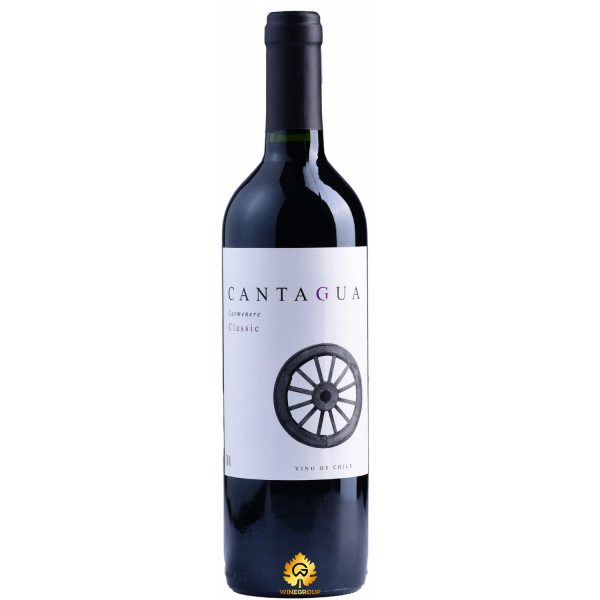 Rượu Vang Cantagua Carmenere
