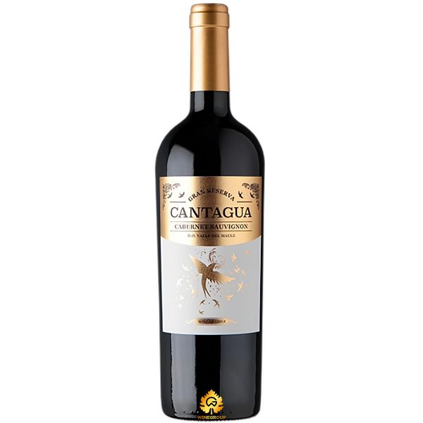 Rượu Vang Cantagua Gran Reserva Cabernet Sauvignon