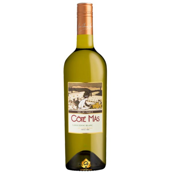 Rượu Vang Cote Mas Languedoc Blanc