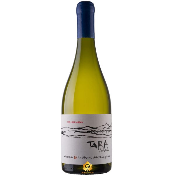 Rượu Vang Tara Atacama Chardonnay