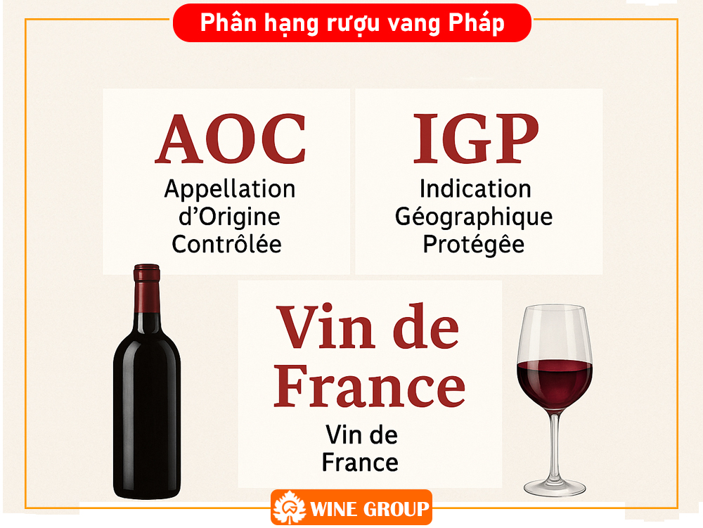 Các Phân Hạng Rượu Vang Pháp