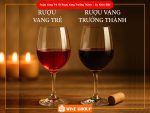 Rượu Vang Trẻ Và Rượu Vang Trưởng Thành