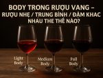 Body Trong Rượu Vang