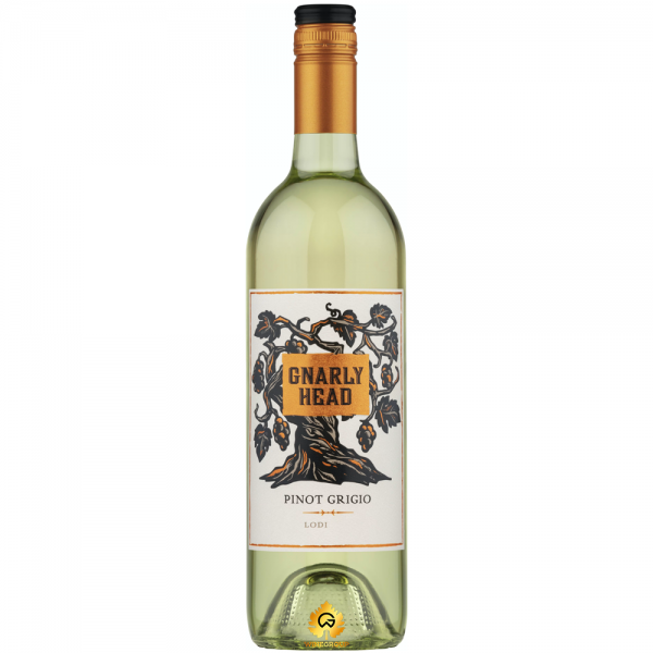 Rượu Vang Gnarly Head Pinot Grigio Lodi California